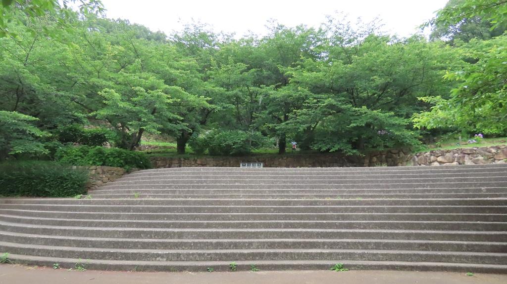 松山総合公園 アジサイ園前の階段