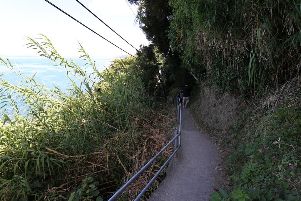 下灘駅の近道（山道）