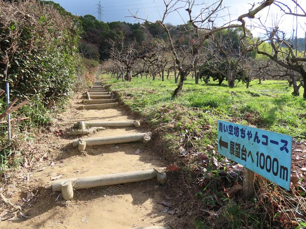 淡路ヶ峠 青い空 坊ちゃんコース「展望台へ1000m」の看板と長そうな階段