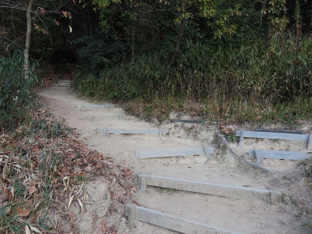 淡路ヶ峠「青い空 坊ちゃんコース」の階段