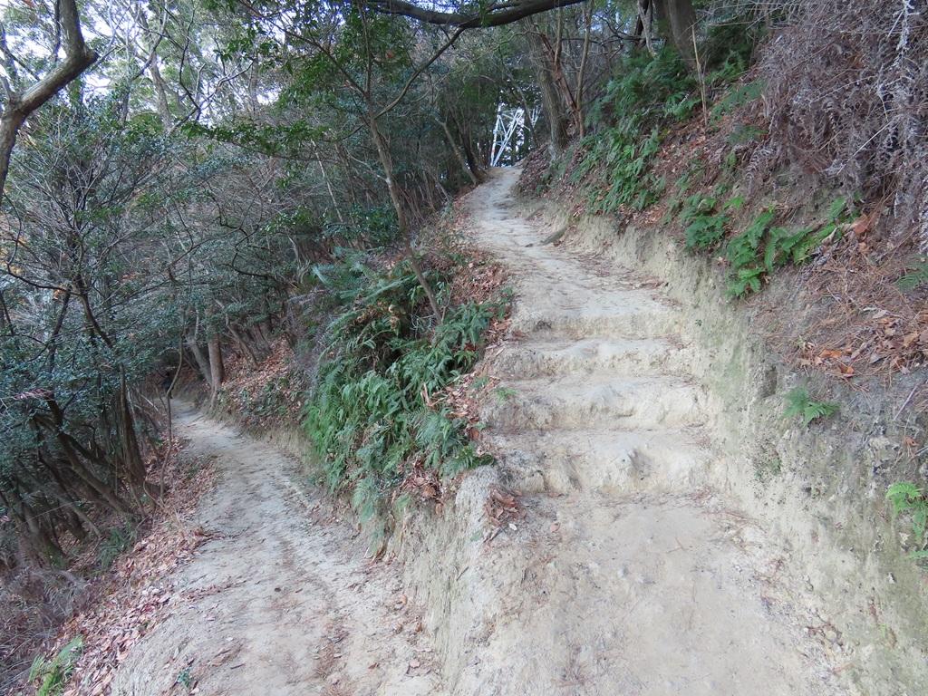 淡路ヶ峠「青い空 坊ちゃんコース」のつづら折りの道