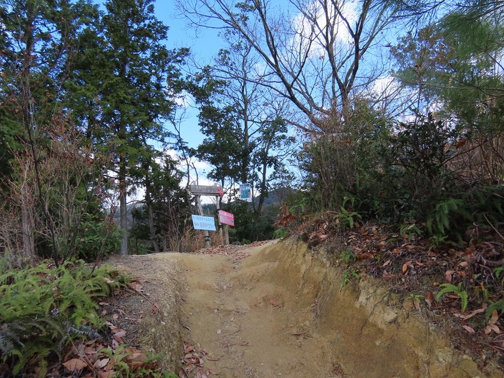 淡路ヶ峠「青い空 坊ちゃんコース」の山道 見えてきた分岐点の標識