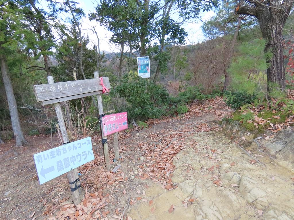 淡路ヶ峠の分岐点「青い空 坊ちゃんコース」「ガンバる赤シャツコース」などの標識
