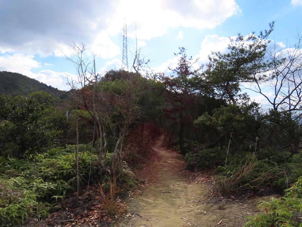 淡路ヶ峠 展望台に向かう道