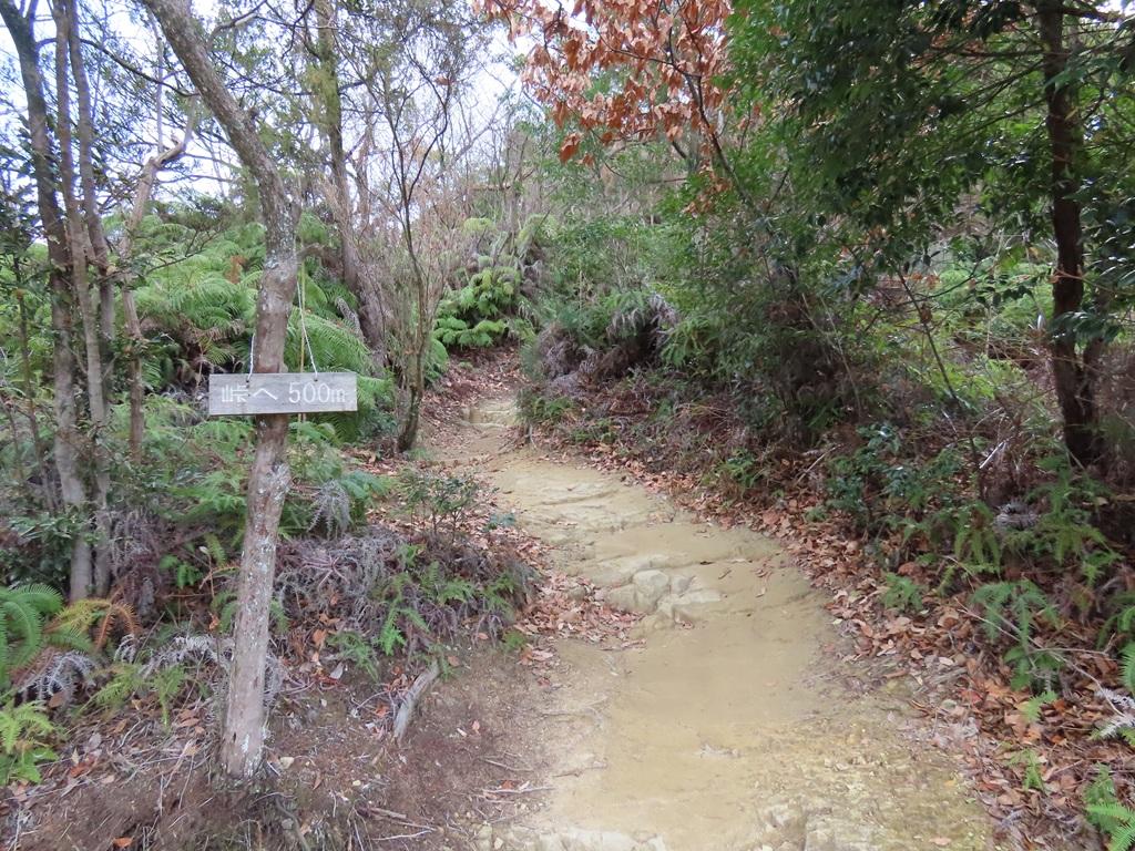 淡路ヶ峠  山道「峠へ 500m」