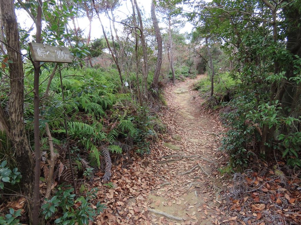 淡路ヶ峠  山道「峠へ 300m」