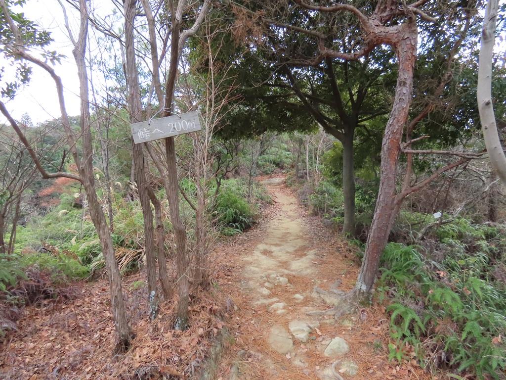 淡路ヶ峠  山道「峠へ 200m」
