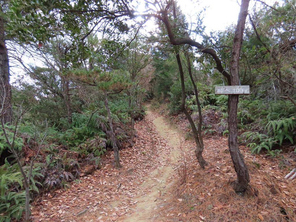 淡路ヶ峠  山道「峠へ 100m」