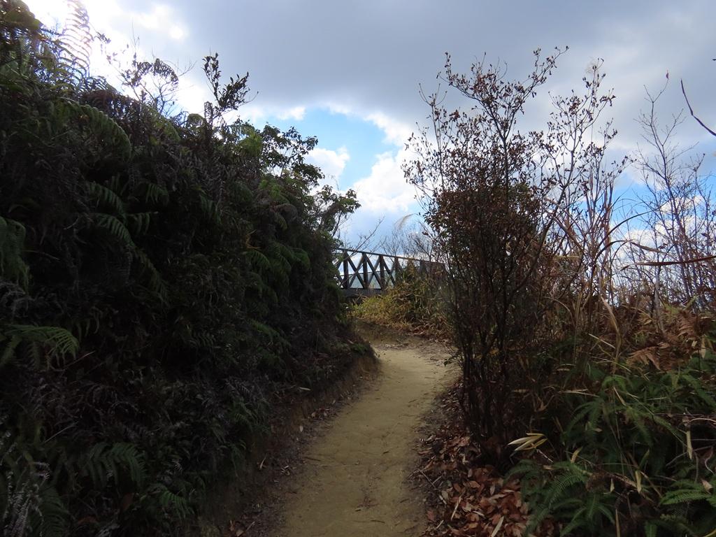 淡路ヶ峠  見えてきた展望台