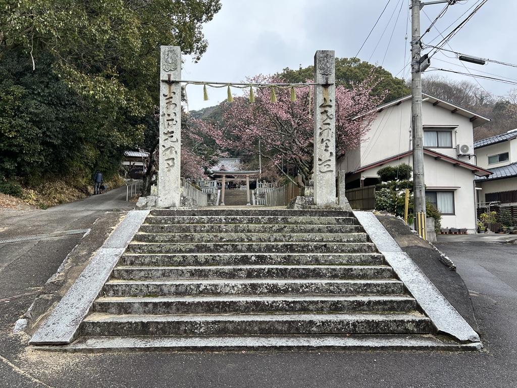 三島神社・吉原熊野神社の石段と桜