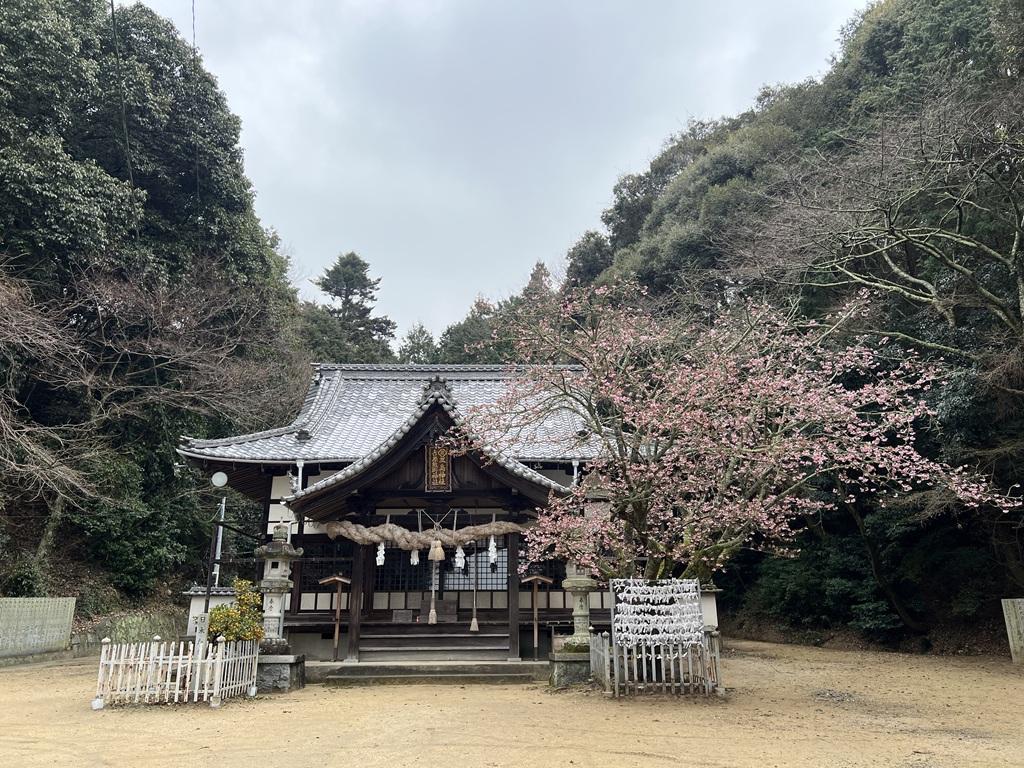 三島神社・吉原熊野神社の本堂と桜