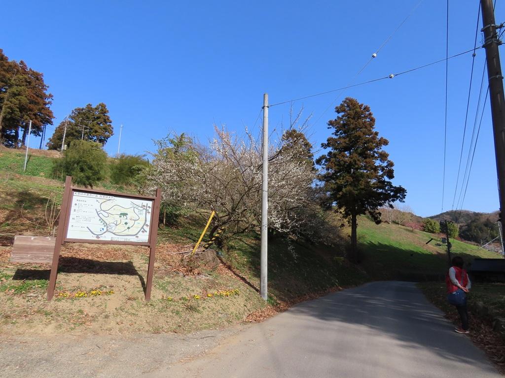 犬寄峠の黄色い丘 散策MAPの看板と道路