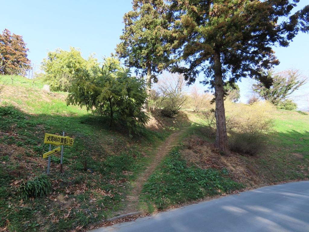 犬寄峠の黄色い丘 道路からの登り口