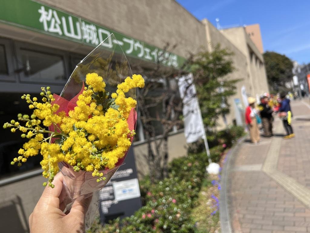 松山城ロープウェイ乗り場前で撮影したミモザの花束
