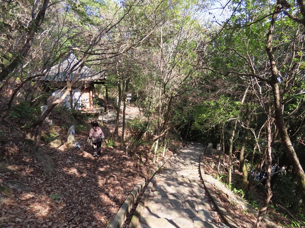 石手寺 愛宕山 石段の隣にある古墳への道を進む娘