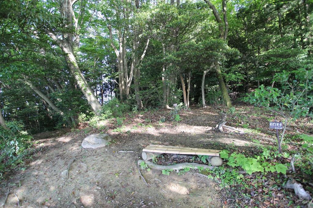谷上山 見晴らし台のベンチ