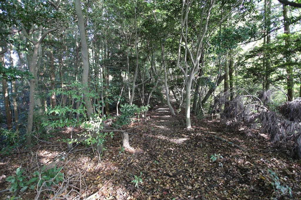 谷上山 登山道