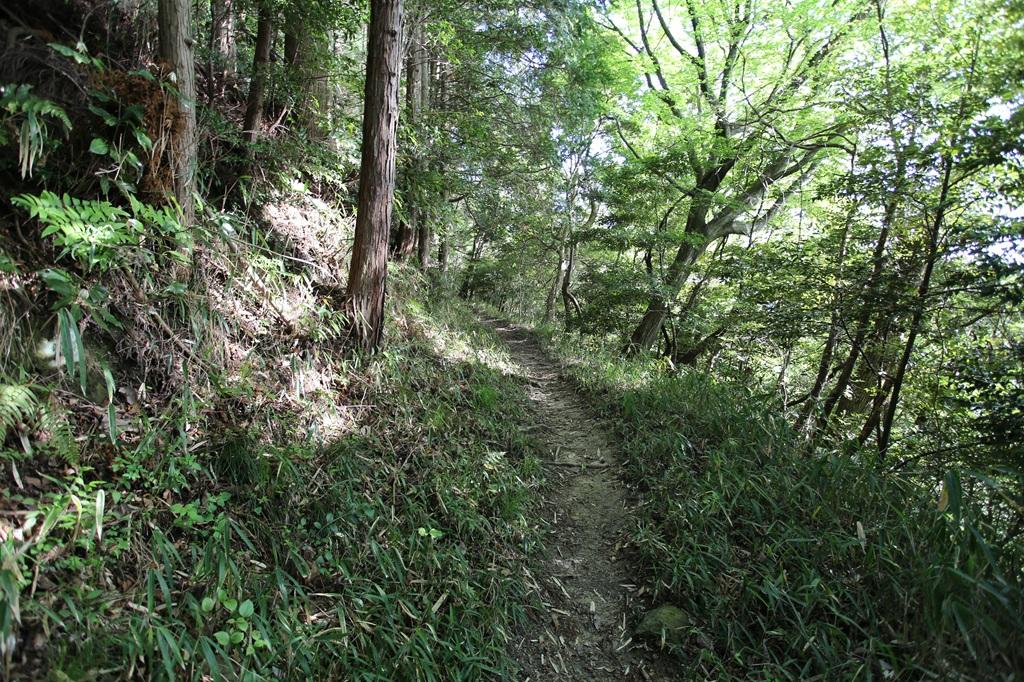 谷上山 登山道