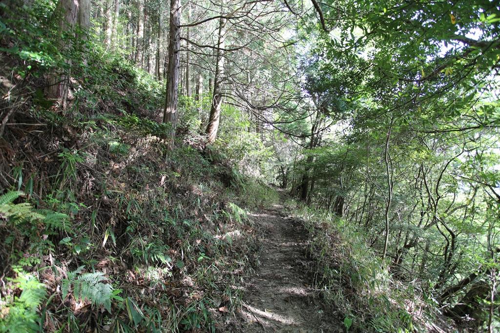 谷上山 登山道