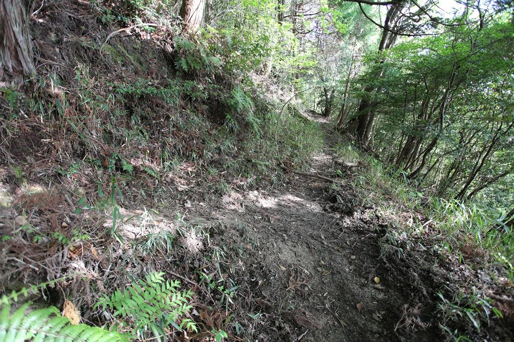 谷上山 登山道 分岐点