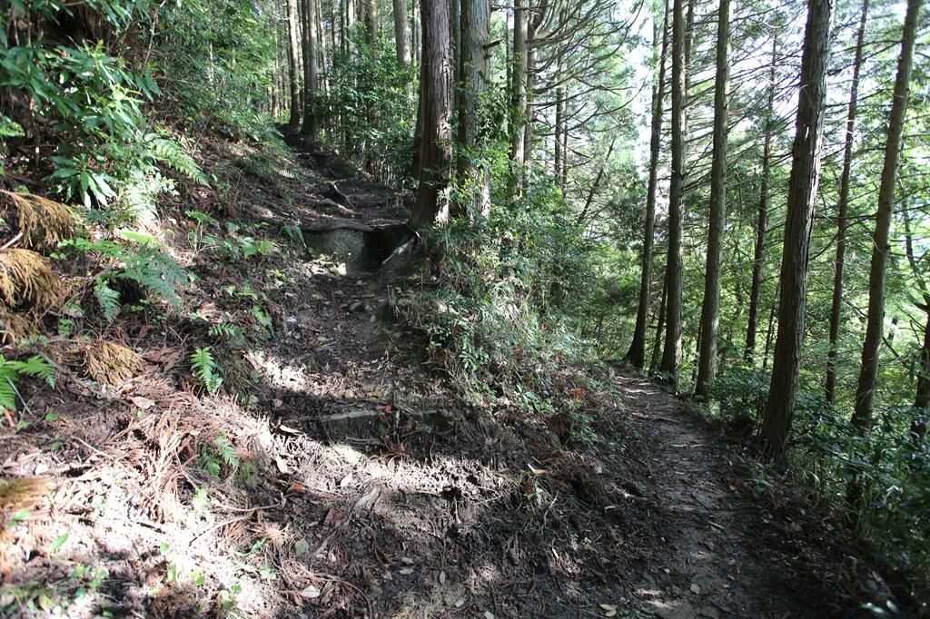 谷上山 つづら折りの道