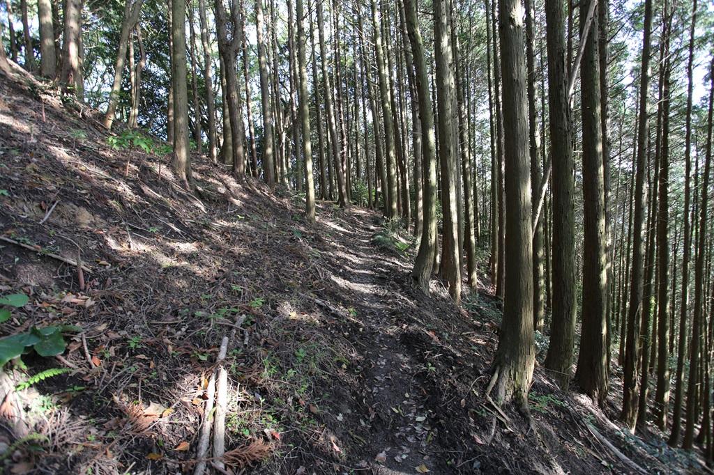 谷上山 登山道