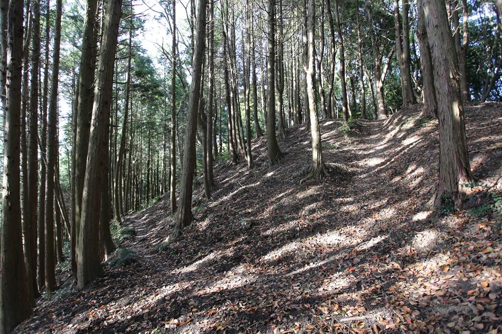 谷上山 登山道