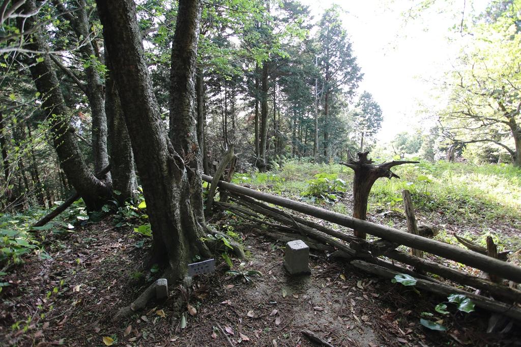 谷上山 山頂 三角点と展望