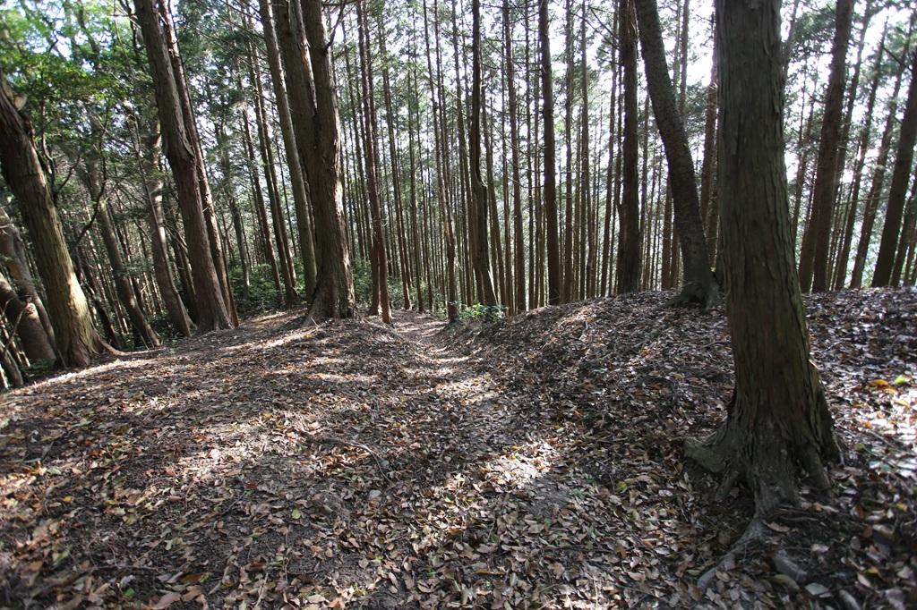 谷上山 登山道