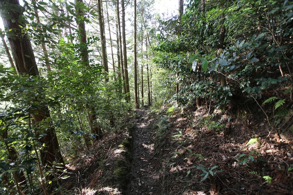 谷上山 登山道