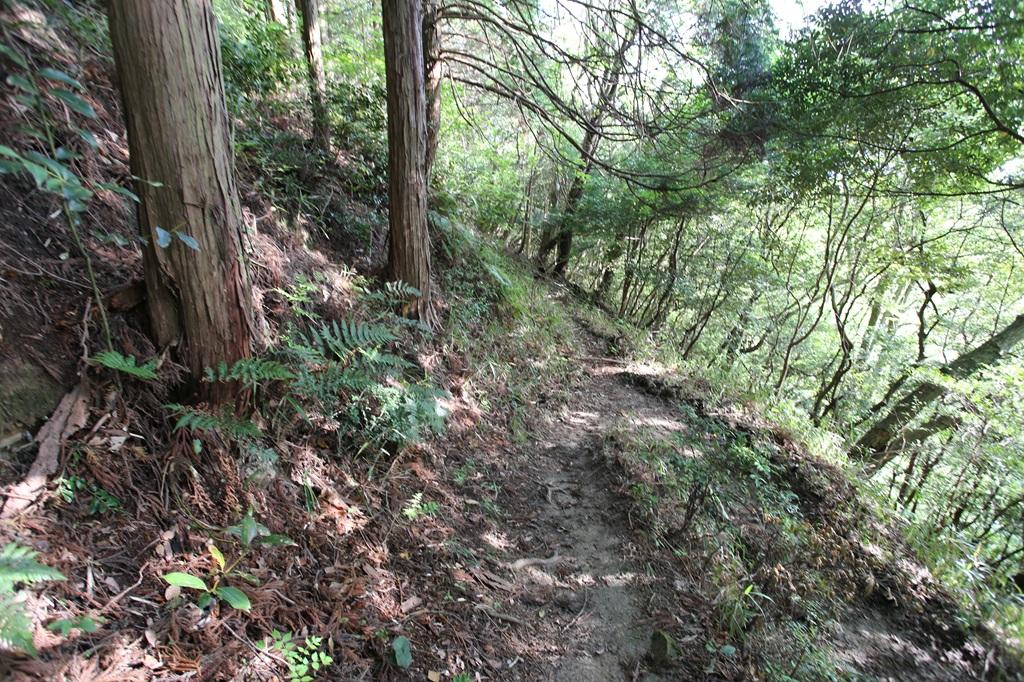 谷上山 登山道の分岐点