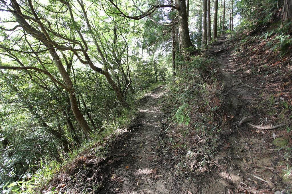 谷上山 登山道 分岐点のヘアピンカーブ