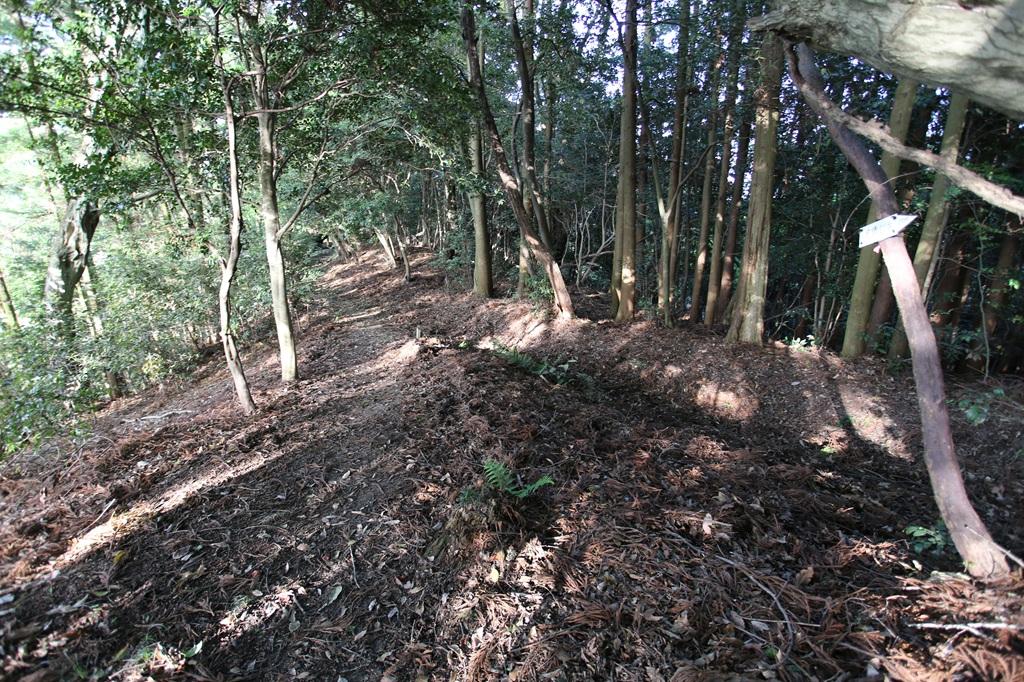 谷上山 登山道