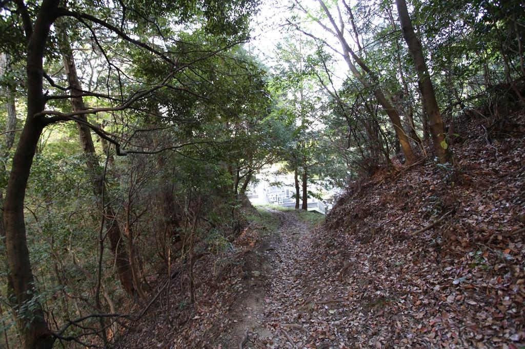 谷上山 登山道 見えてきた谷上霊園