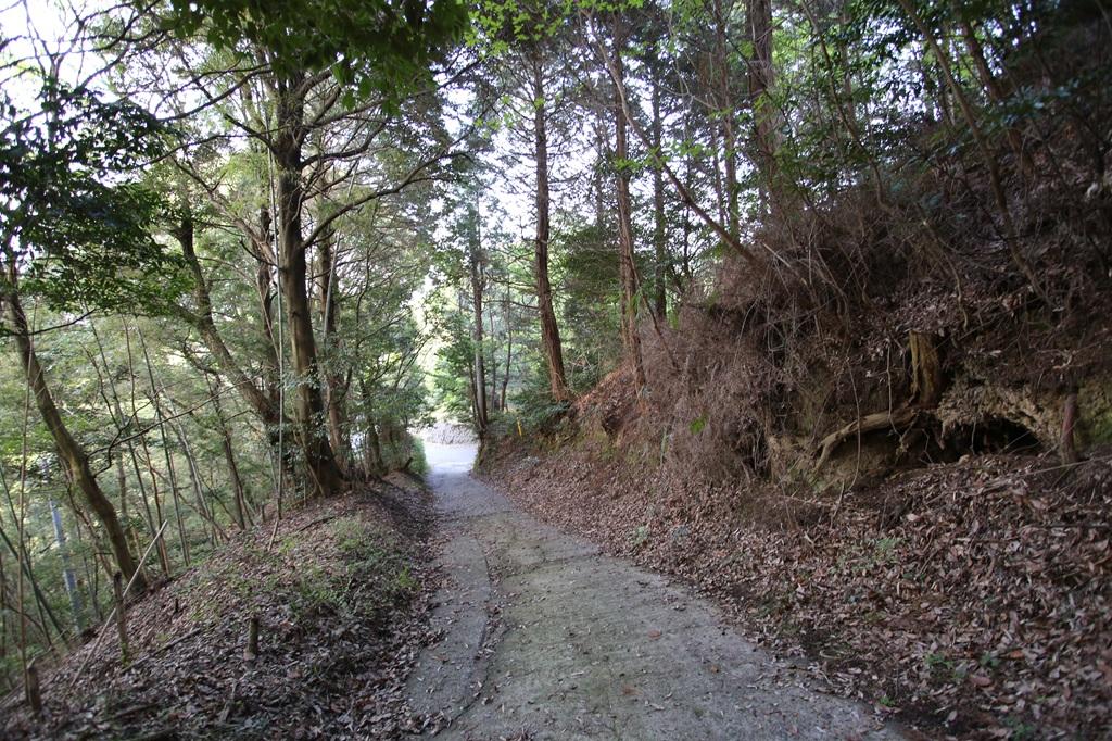 谷上山 舗装された登山道