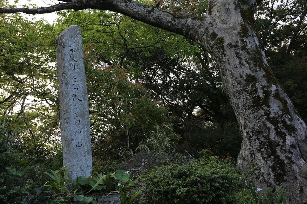 谷上山 正岡子規の句碑「夏川を二つ渡りて田神山」
