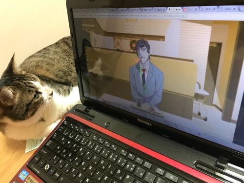 PC画面で再生されるアニメ「恋物語」の貝木泥舟の変顔を見つめる猫-ゆきお
