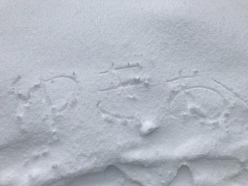 降り積もったやわらかい雪の上に指を走らせて書いた「ゆきお」(我が家の飼い猫の名前)