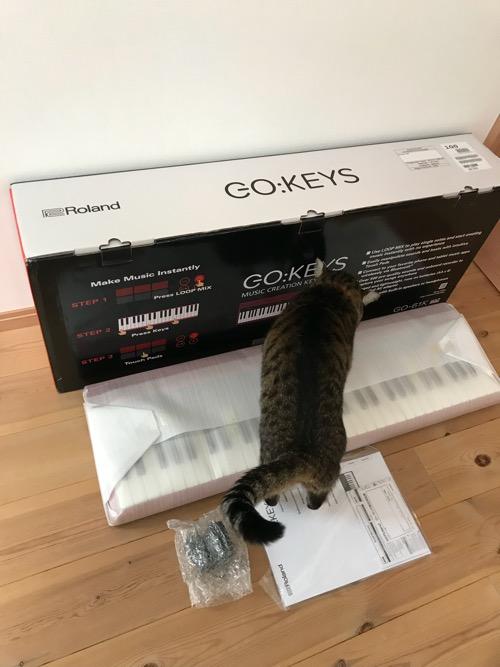 Roland GO:KEYSの開封前のキーボードの上に足をかける猫-ゆきお