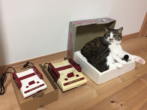 ニンテンドークラシックミニファミコンとファミリーコンピュータの本体の隣にあるファミコンの箱の中でくつろぐ猫-ゆきお