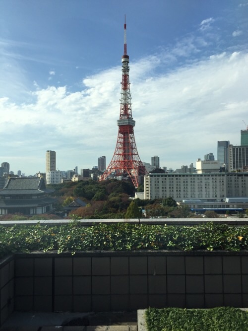 東京都港区役所11階のレストランから見える東京タワー