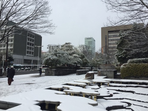 2017年1月24日の勾当台公園駅周辺の雪景色