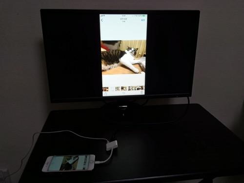 XIANRUI Lightning Digital AV Adapterを使用してiPhone内の写真を液晶ディスプレイに「縦表示」で表示した時の様子