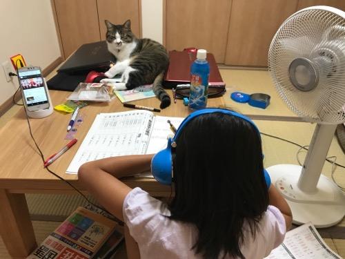 ドラゴンクエスト スライムヘッドフォンで音楽を聴きながら勉強する娘とテーブルの上のノートPCにもたれながら娘を見つめる猫-ゆきお
