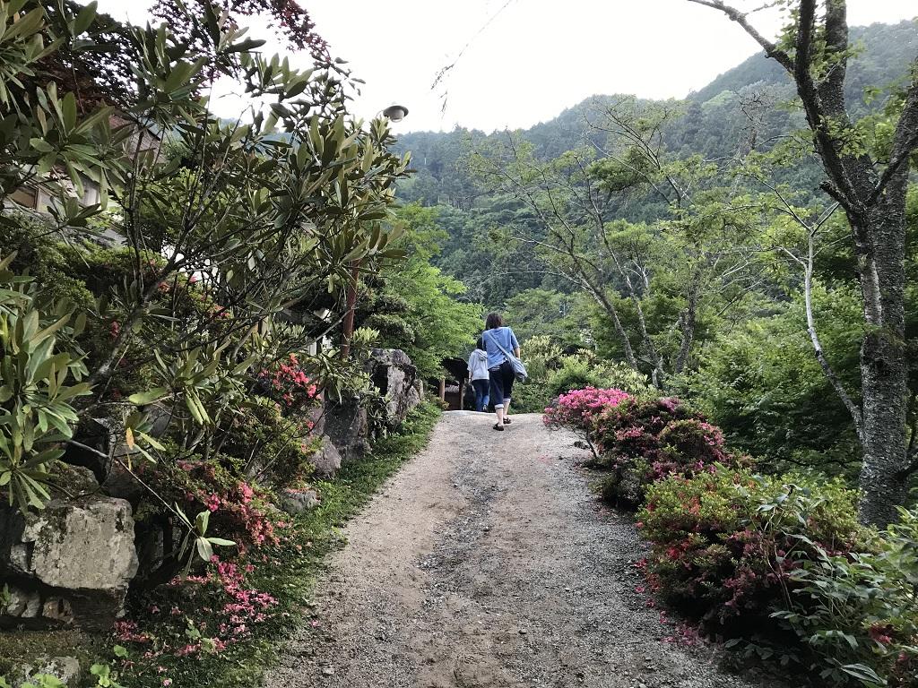 竹山荘前の上り坂