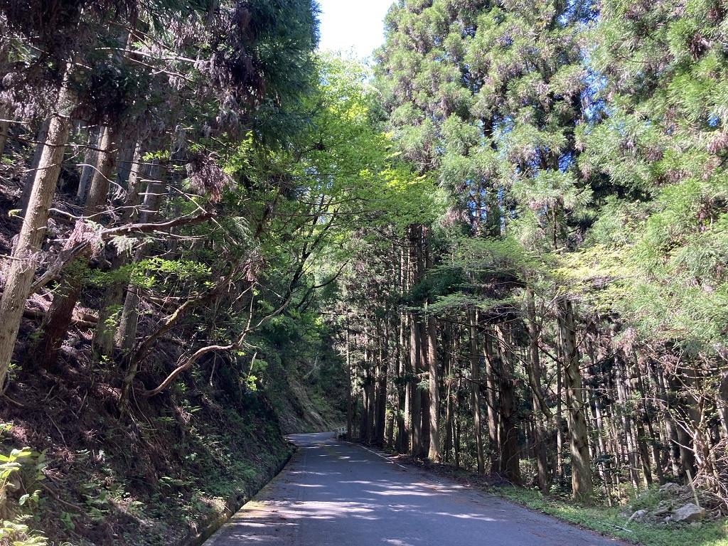 高縄山 愛媛県道178号 湯山高縄北条線（比較的幅広の直線的な道路）