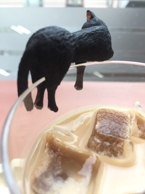 アイスカフェオーレのコップのふちにだらりと座る黒猫の後ろ姿