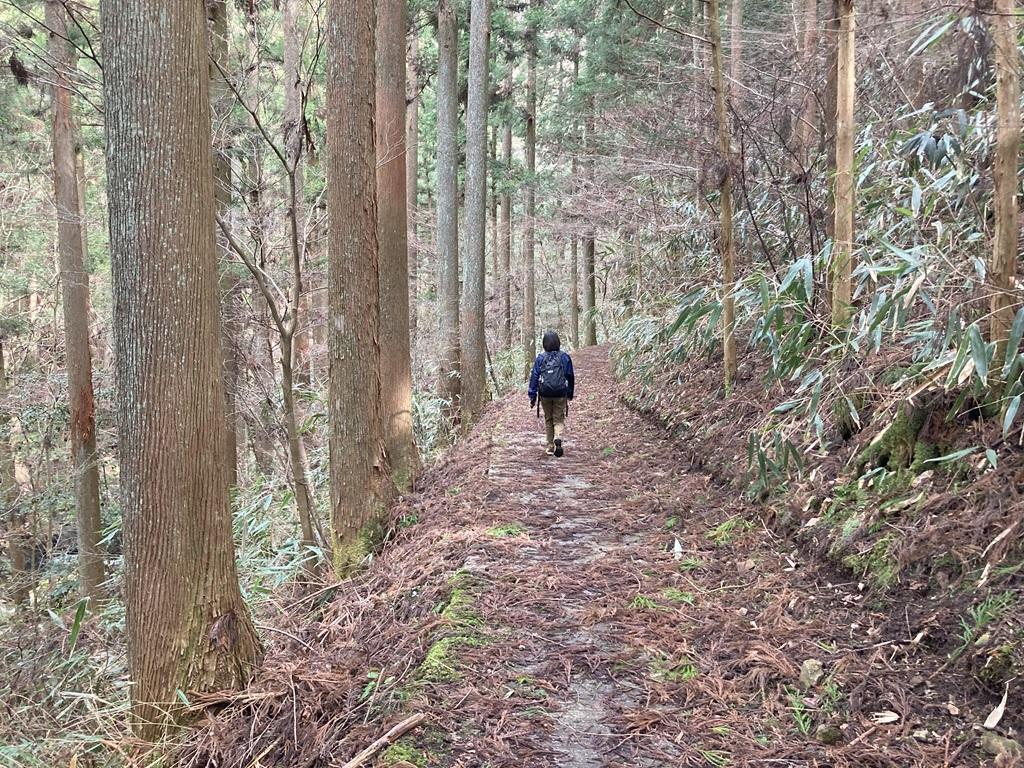 遅越の滝に向かう平坦な山道