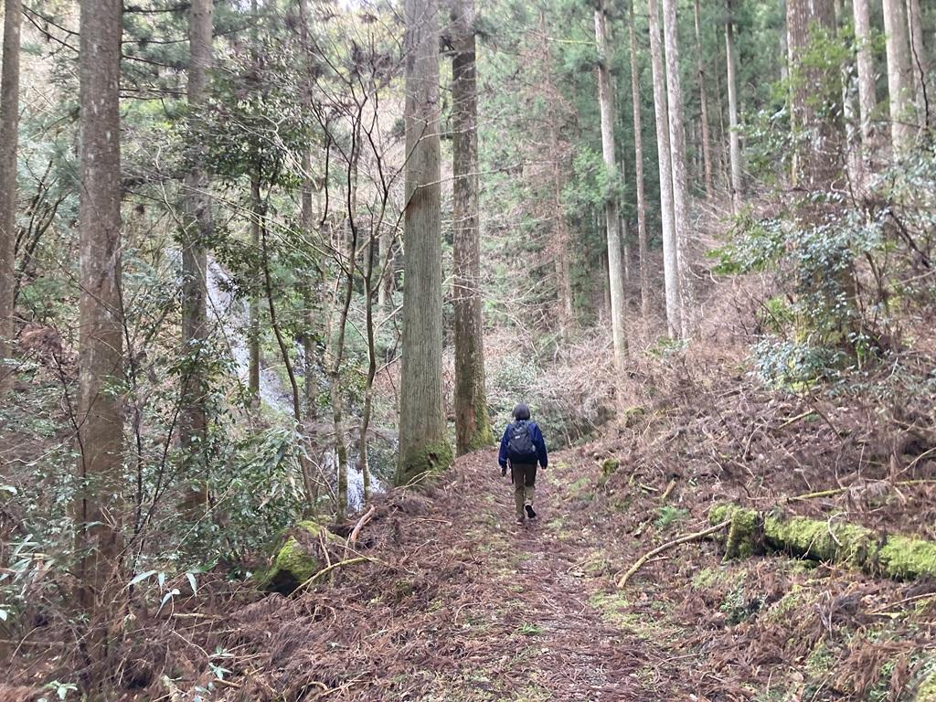 木々の向こうに見えてきた遅越の滝。先を歩く娘。