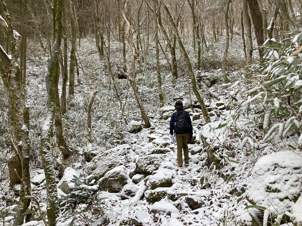 皿ヶ嶺畑野川ルート14：雪の山道を歩く娘